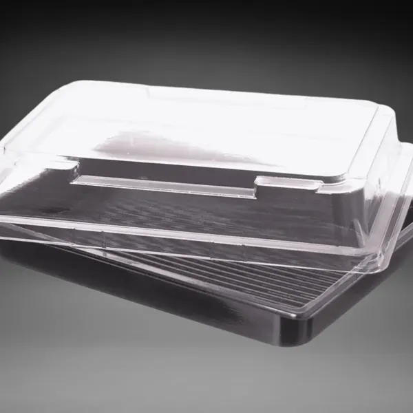 Sushi-Schale (Sushi-Box) mit Deckel