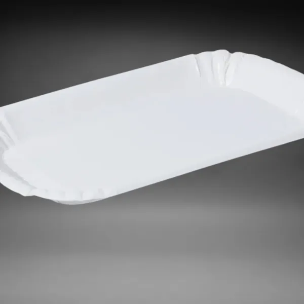 Pappschale Karton à 1000 Stk.