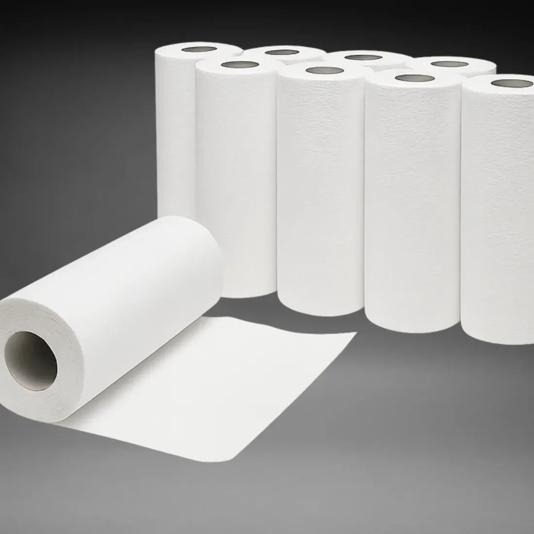 Küchenrollen (8x4 Rollen)